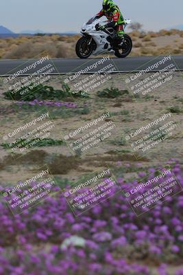 media/Jan-14-2023-SoCal Trackdays (Sat) [[497694156f]]/Turn 14 Exit Bloomig (145pm)/